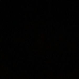 Meet your Posher, Paige